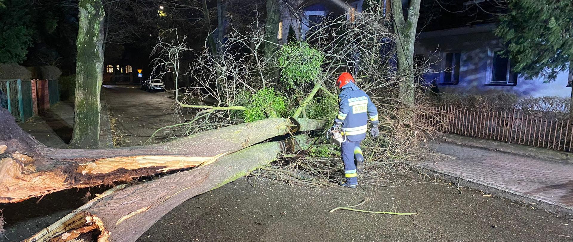 Drzewo powalone w poprzek ulicy, obok stoi strażak z pilarką do drewna. W tle budynki mieszkalne.