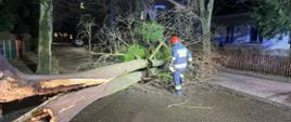 Drzewo powalone w poprzek ulicy, obok stoi strażak z pilarką do drewna. W tle budynki mieszkalne.