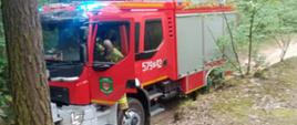 Ćwiczenia WOO. Teren Leśnictwa Górzno. Na dukcie leśnym stoi wóz strażacki. Wysiada z niego kierowca-strażak w ubraniu specjalnym koloru piaskowego. Pojazd ma włączone sygnały uprzywilejowania w ruchu. W tle drzewa.