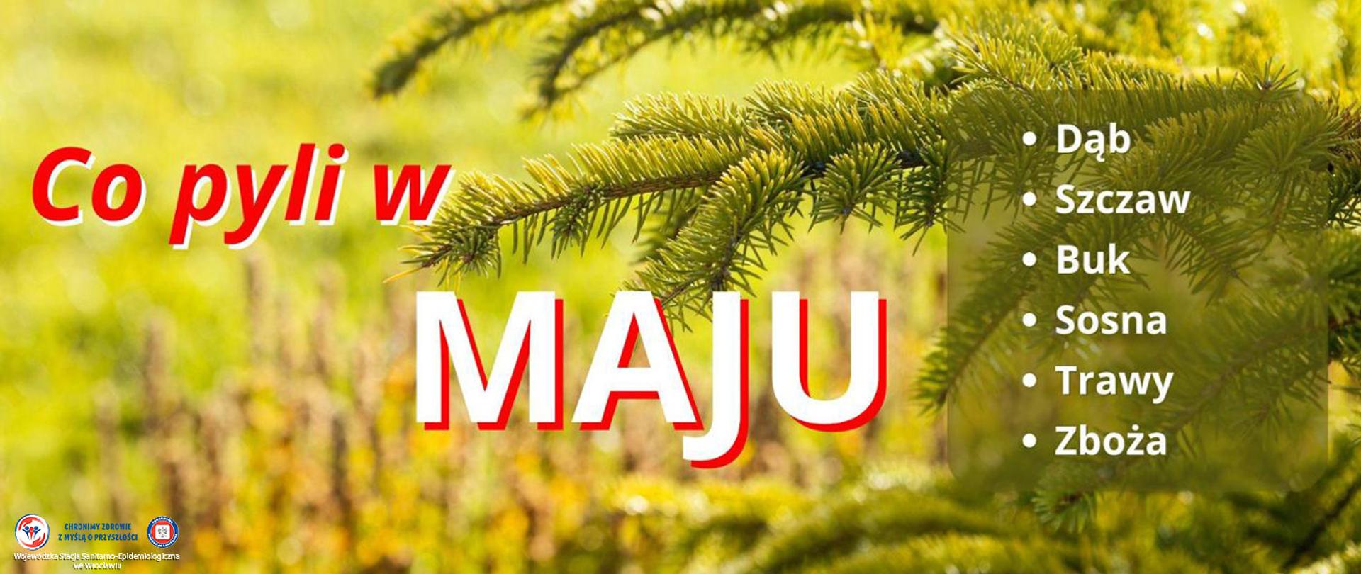 Co pyli w maju