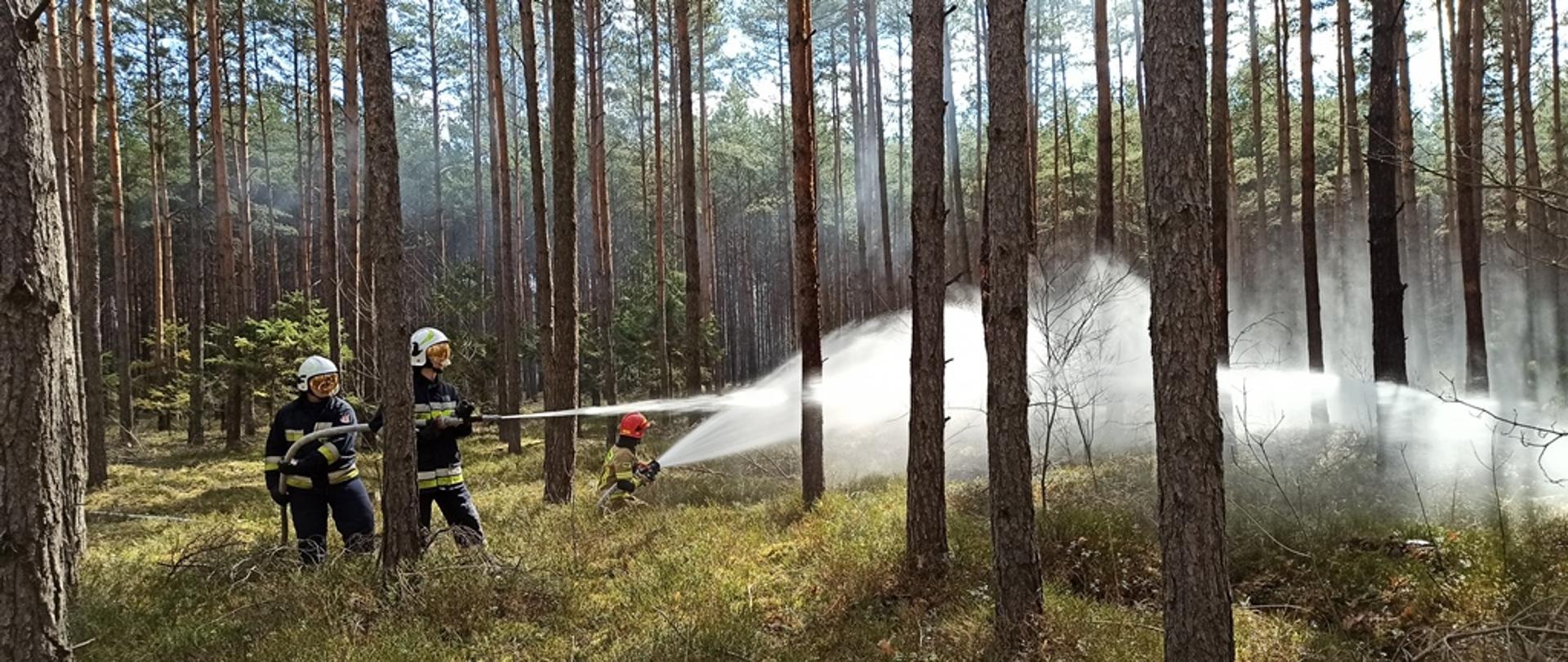 Ćwiczenia Kompanii Gaśniczej WOO Zachód