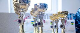 Na zdjęciu widać puchary, które zostaną wręczone zwycięzcą turnieju.