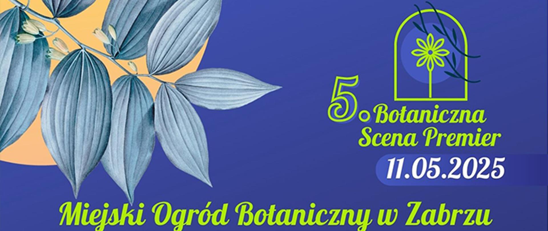 Grafika - zaproszenie na piątą Botaniczną Scenę Premier w Ogrodzie Botanicznym w Zabrzu, na ilustracji widoczne są teksty, data 11.05.2025, nazwa ogrodu oraz ilustracja - zielonkawa gałązki z liśćmi, wszystko na niebieskim tle.