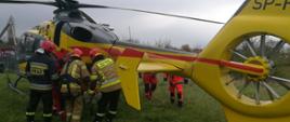 Zdjęcie zawiera widoczny żółty śmigłowiec Eurocopter EC-135, należący do Lotniczego Pogotowia Ratunkowego. Śmigłowiec pomalowany jest na żółto a także posiada oznaczenia czerwonymi pasami. Do śmigłowca na noszach wnoszona jest osoba poszkodowana. Osobę na noszach trzymają trzej strażacy. Dwaj z nich ubrani są w ubrania specjalne koloru piaskowego, jeden natomiast posiada ubranie specjalne koloru czarnego. Każdy ma na sobie czerwony hełm. Za strażakami widoczny jest ratownik medyczny ubrany w jaskrawo-pomarańczowy strój. Zza śmigłowca wychodzą kolejni dwaj ratownicy. Śmigłowiec oraz ratownicy stoją na zielonej trawie. Na niebie widać szaro-niebieskie chmury, nie widać słońca.. W tle widoczne są niskie drzewa i krzewy. 