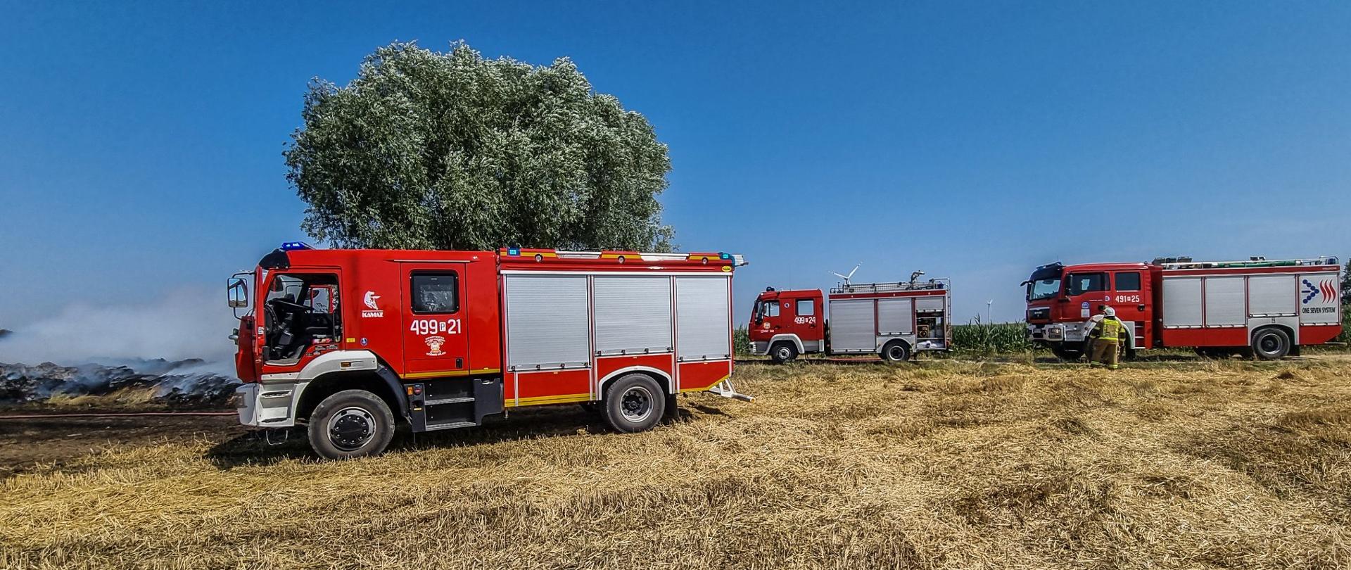 Na ściernisku stoją trzy zastępy straży pożarnej. Strażacy prowadzą akcję gaśniczą podając wodę na ściernisko oraz pryzmę obornika. 