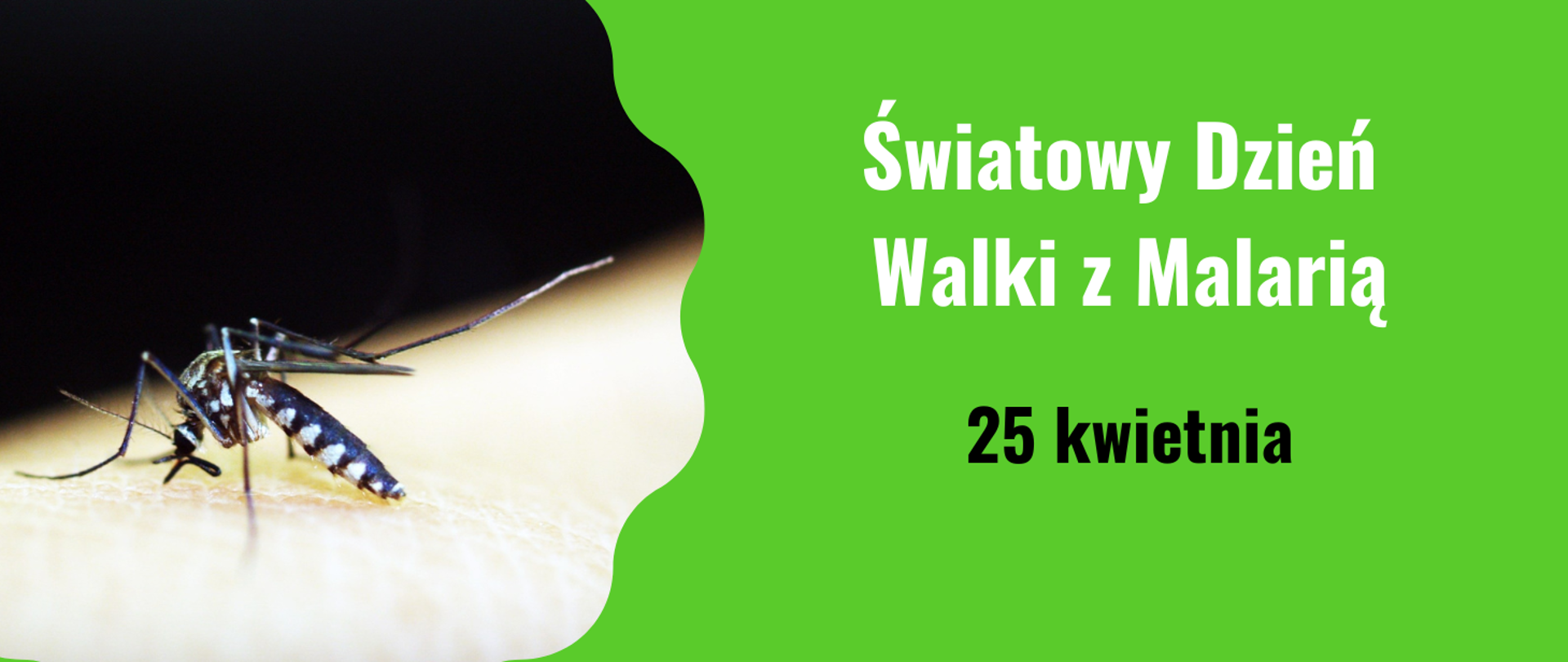 Światowy Dzień Walki z Malarią 25 kwiet