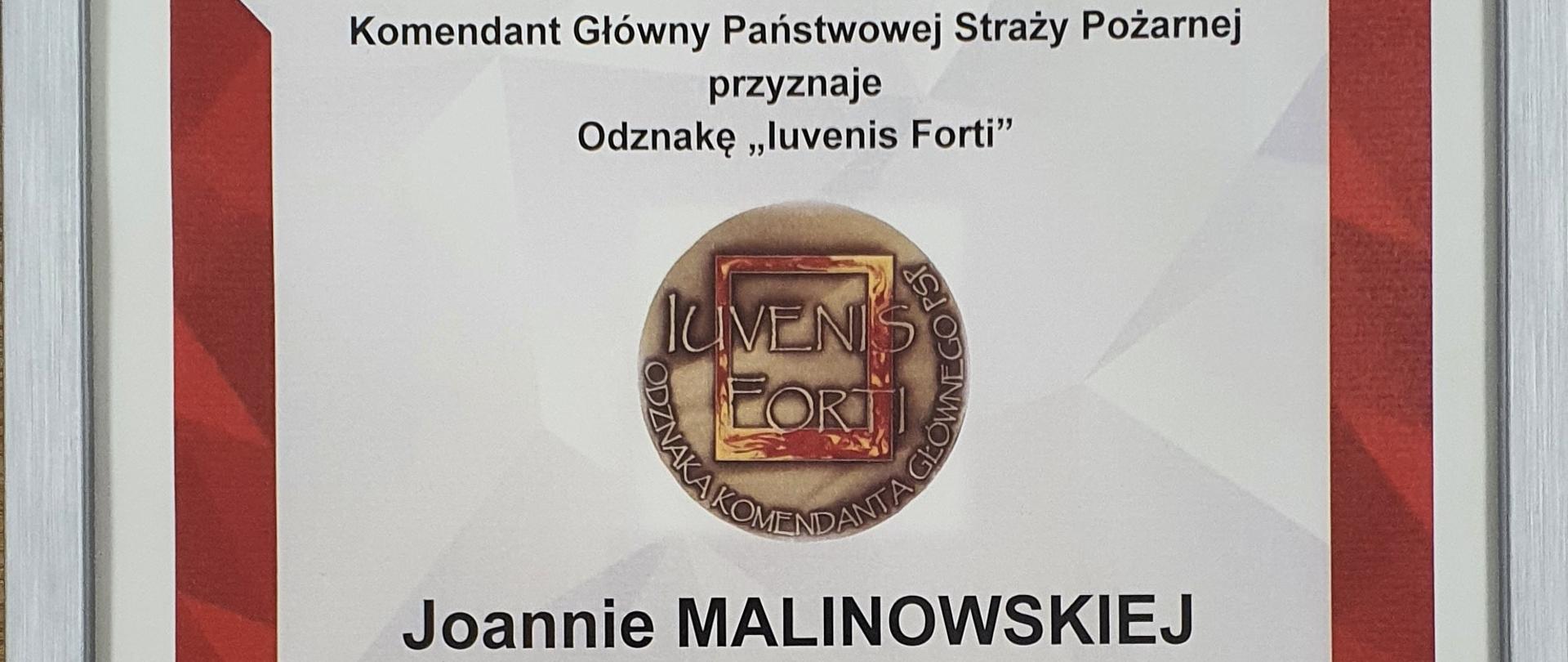 Zdjęcie przedstawia biało-czerwony dyplom osadzony w srebrnej ramce, przyznający odznakę Iuvenis Forti Joannie Malinowskiej. U dołu widniej podpis nadbrygadiera Andrzeja Bartkowiaka.
Zdjęcie: mł. bryg Paweł Korgol