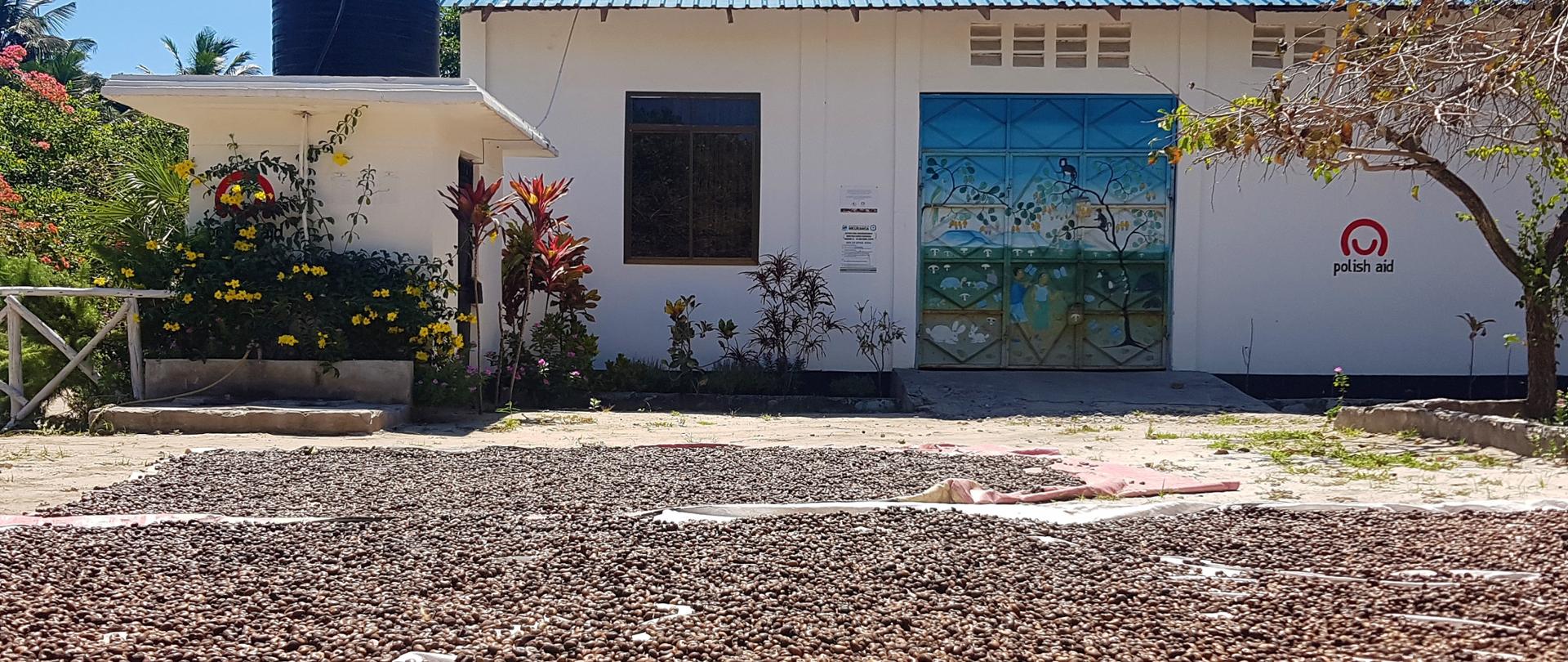 Polish Aid supports cashew nut producers in Tanzania photo: Anna Michael