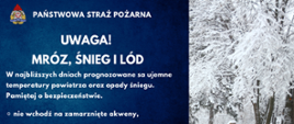Zdjęcie przedstawia plakat ostrzegający przed zagrożeniem powodowanym przez gwałtowne opady śniegu, mróz oraz lód. Akcja informacyjna prowadzona jest przez państwową straż pożarną. Plakat podzielony jest na dwie części. Pierwsza od lewej posiada tło w kolorze niebieskim. Na tle znajduje się tekst w kolorze białym zawierający najważniejsze informacje i zalecenia związane z ujemną temperaturą oraz opadami śniegu. Prawa strona zdjęcia przedstawia park w porze zimowej. Drzewa, ławka oraz chodnik pokryte są grubą warstwą białego śniegu. 