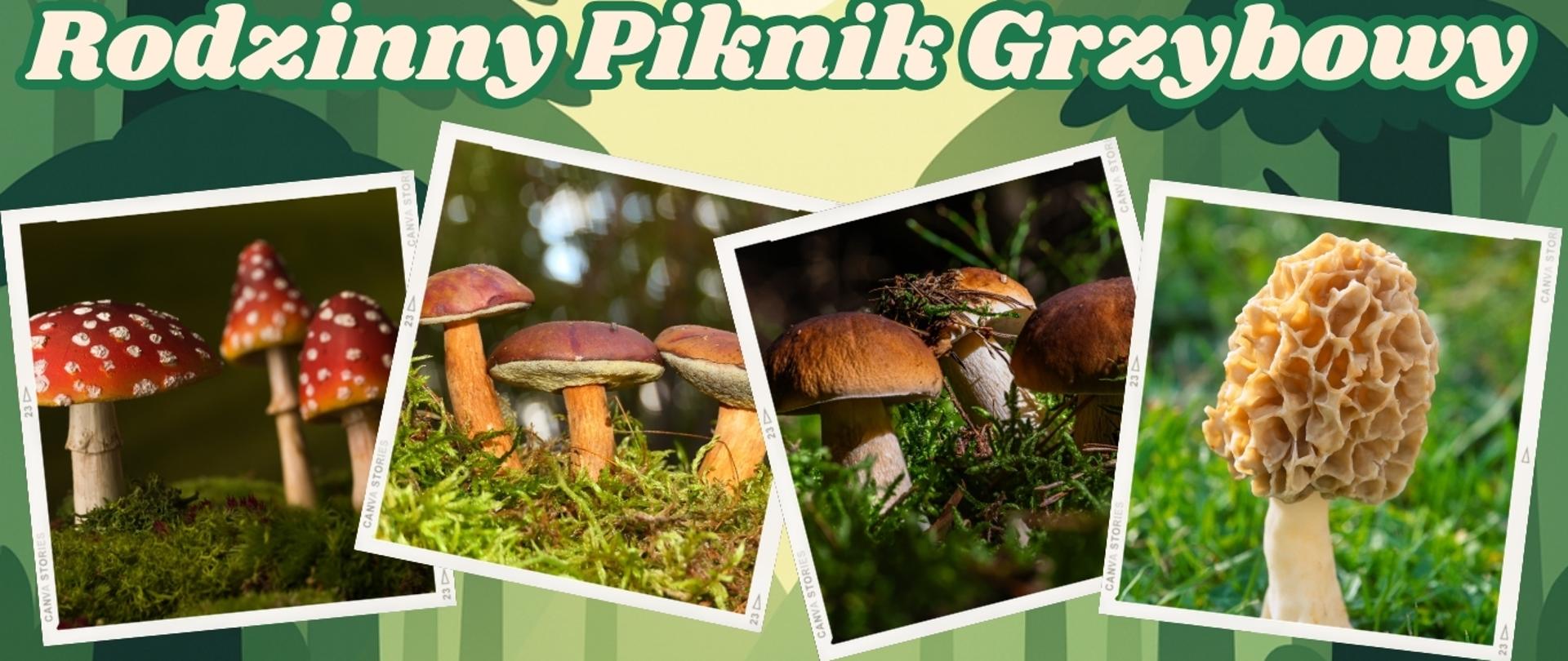 piknik grzybowy miniaturka