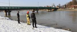Zdjęcie wykonane na tle rzeki San. Na pierwszym planie znajduje się 3 strażaków spoglądających na rzekę. W tle most na rzece.
