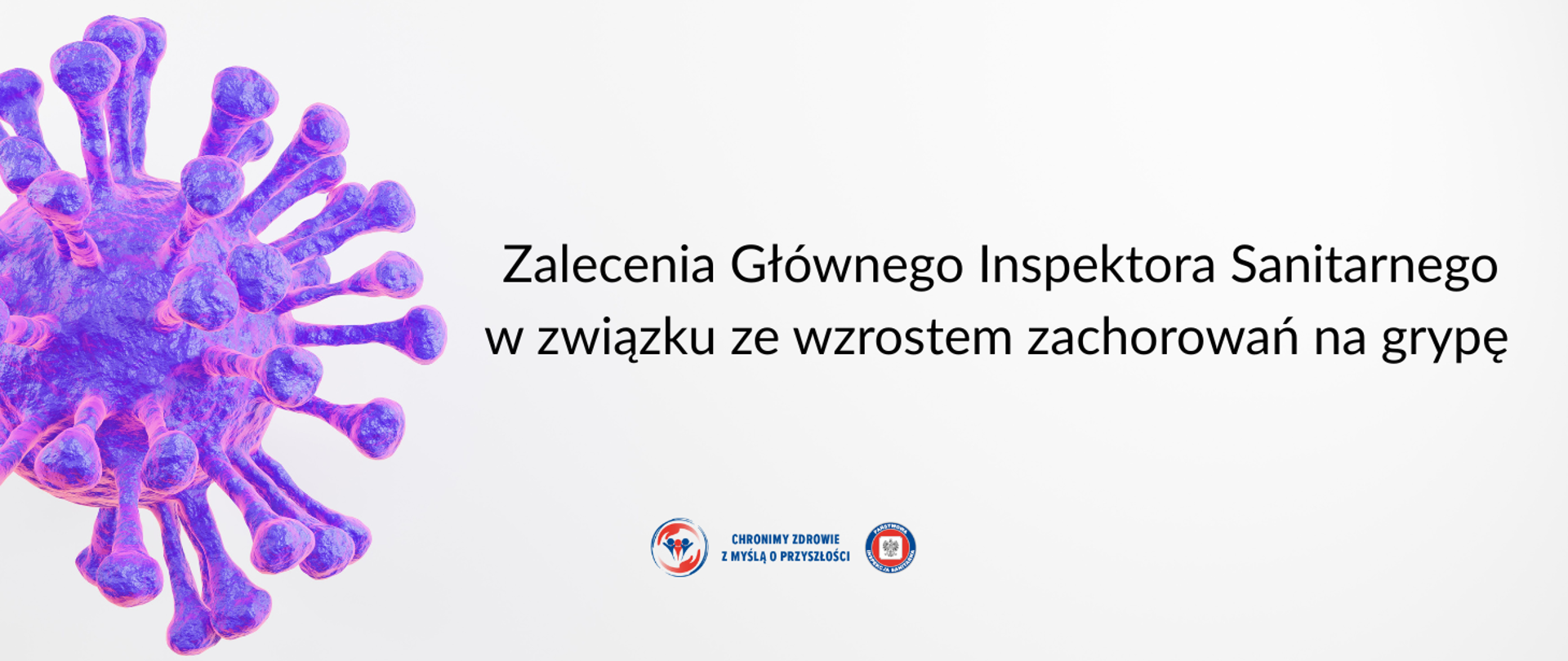 szare tło, po lewej stronie schematyczny rysunek wirusa grypy w barwach fioletowo-różowych, na dole logo Państwowej Inspekcji Sanitarnej z hasłem "Chronimy zdrowie z myślą o przyszłości", na górze napis "Zalecenia Głównego Inspektora Sanitarnego w związku ze wzrostem zachorowań na grypę"