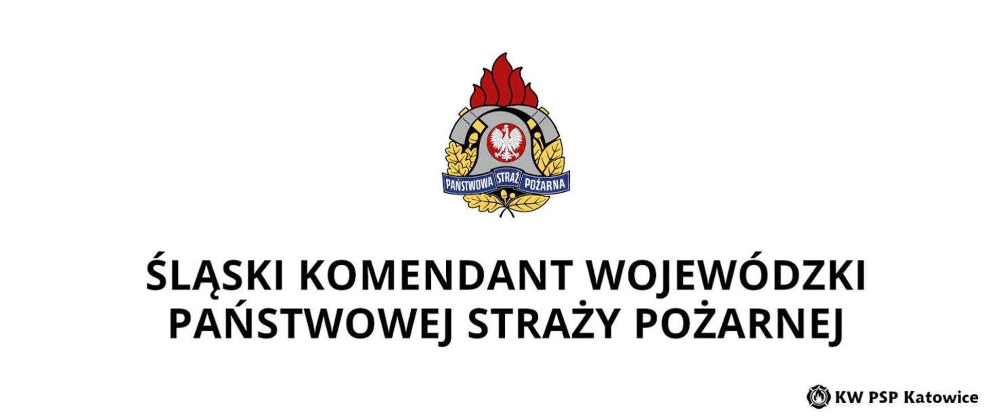 Zdjęcie przedstawia logo ŚKW PSP