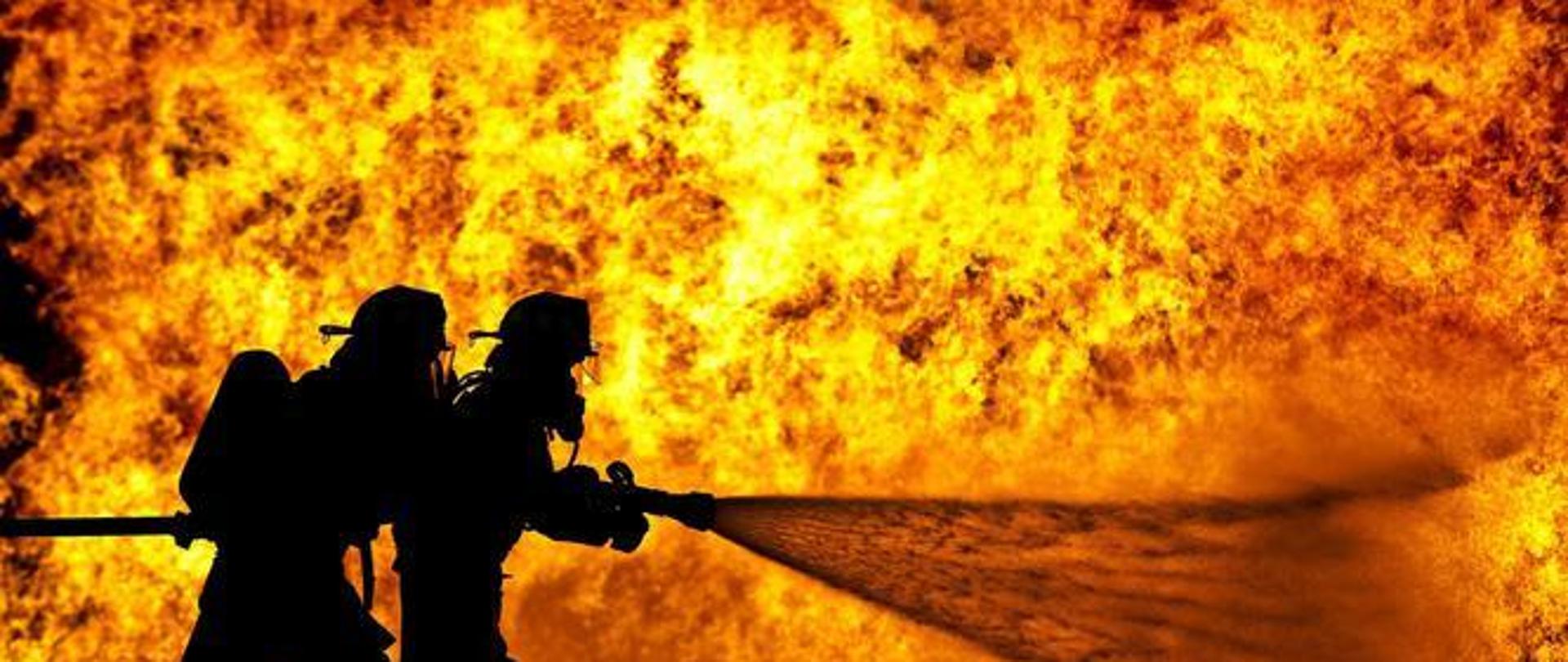 Ćwiczenia powiatowe