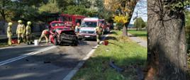 Na zdjęciu na pierwszym planie widoczne przydrożne drzewo, w które uderzył samochód osobowy. Na drugim planie rozbity samochód osobowy, wokół niego strażacy. Dalej ambulans i samochód strażacki.