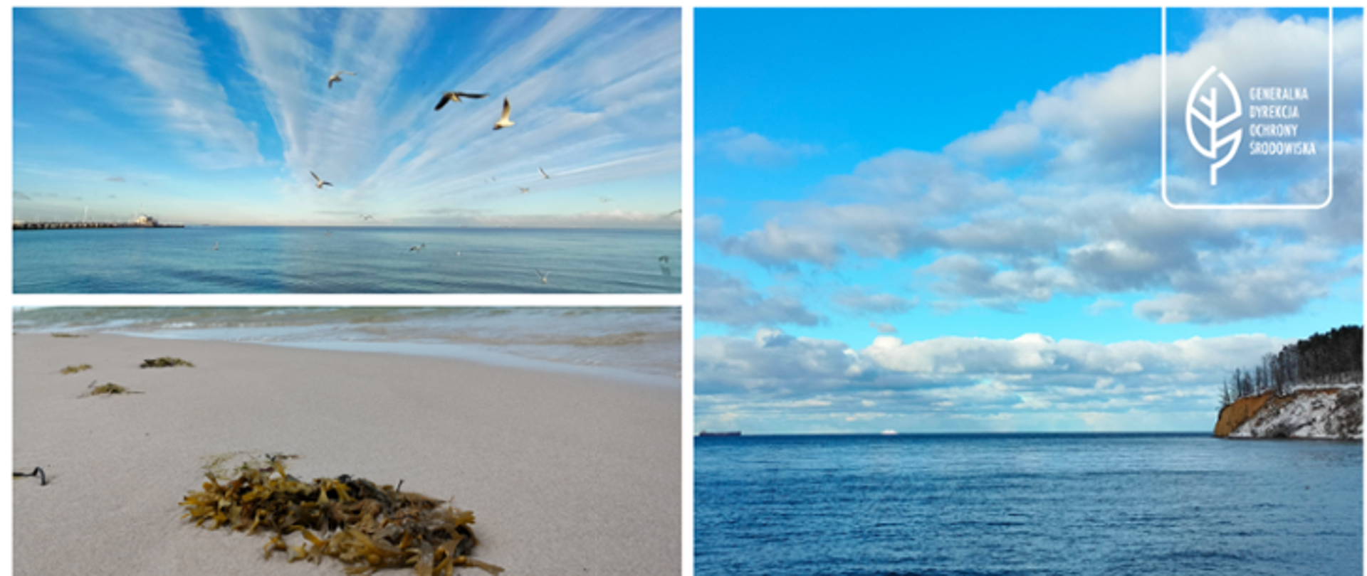 Kolaż składający się z trzech zdjęć. Na zdjęciu w lewym górnym rogu widać błękitne niebo, podłużne chmury i spokojne morze. Na tle chmur i błękitnego nieba latają ptaki. Na zdjęciu w lewym dolnym rogu widać plaże i morze. Na piasku leżą wodorosty w kolorze brązowym. Na zdjęciu po prawej stronie widać spokojne morze, błękitne niebo oraz białoszare chmury. Z prawej strony jest klif porośnięty drzewami. W oddali na horyzoncie płyną statki.