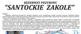 3 Rezerwat przyrody "Santockie Zakole" –malownicze miejsce, które warto odwiedzić 