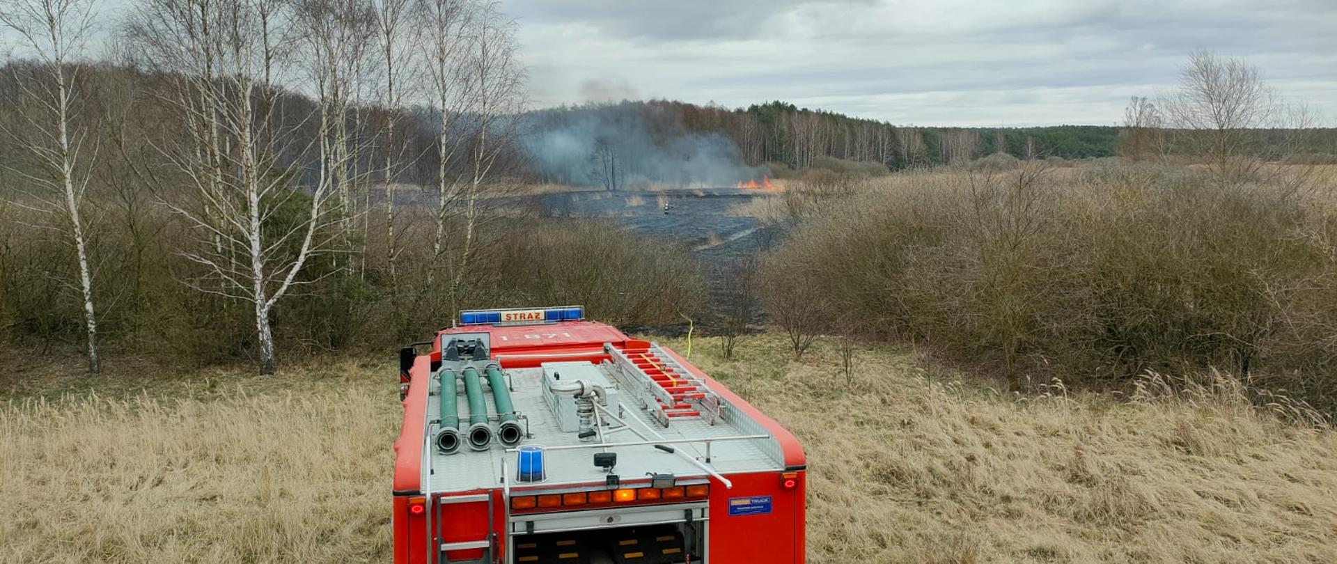 Widok wypalonych połaci traw i trzcin. W oddali pracujący strażak i widoczne płomienie i dym. Na samym dole zdjęcia samochód pożarniczy obok stojący strażak.