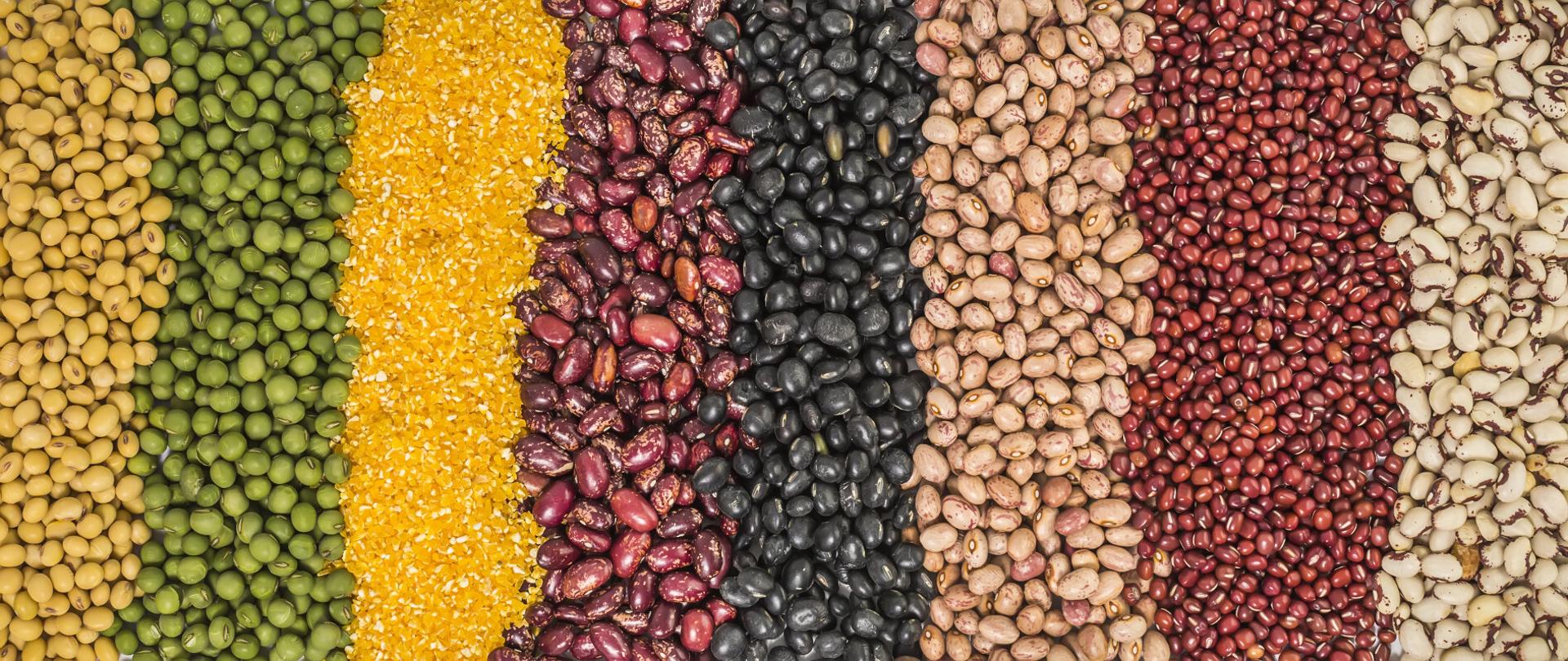 Pełnoziarniste produkty