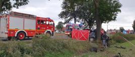 Roztrzaskany samochód na drzewie, w tle strażacy, policjanci, pojazdy pożarnicze oraz ambulans.