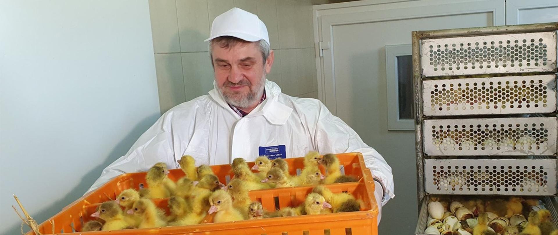 Minister Jan Krzysztof Ardanowski zachęca do zakładania przydomowych hodowli gęsi
