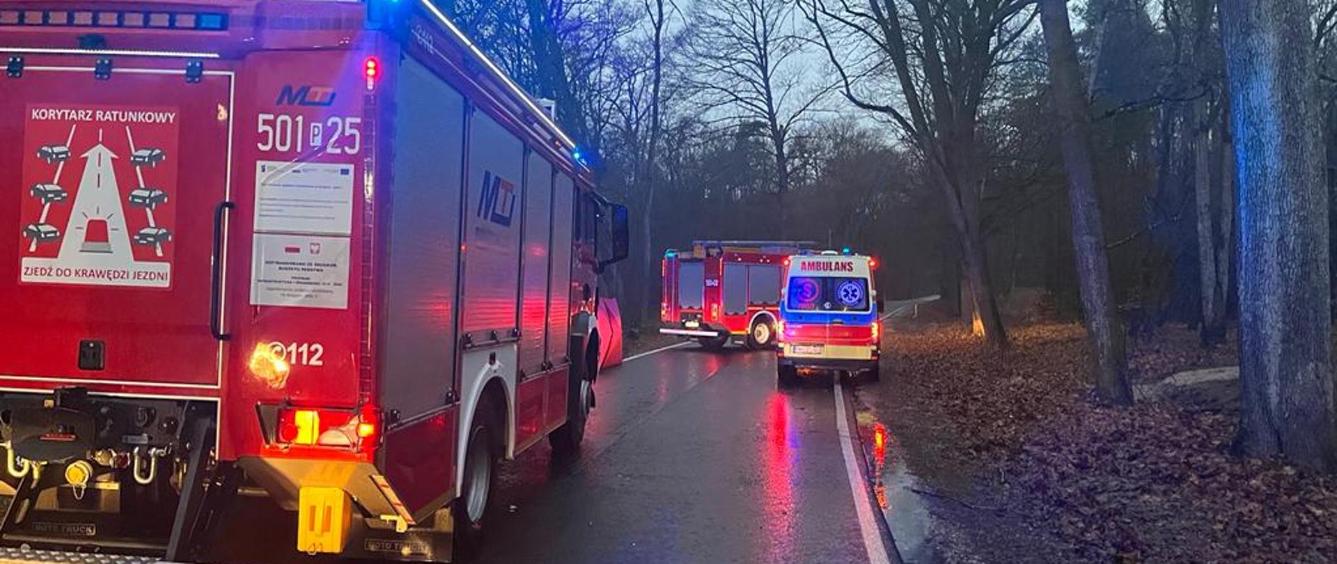 Widok miejsca zdarzenia - wypadek DW199