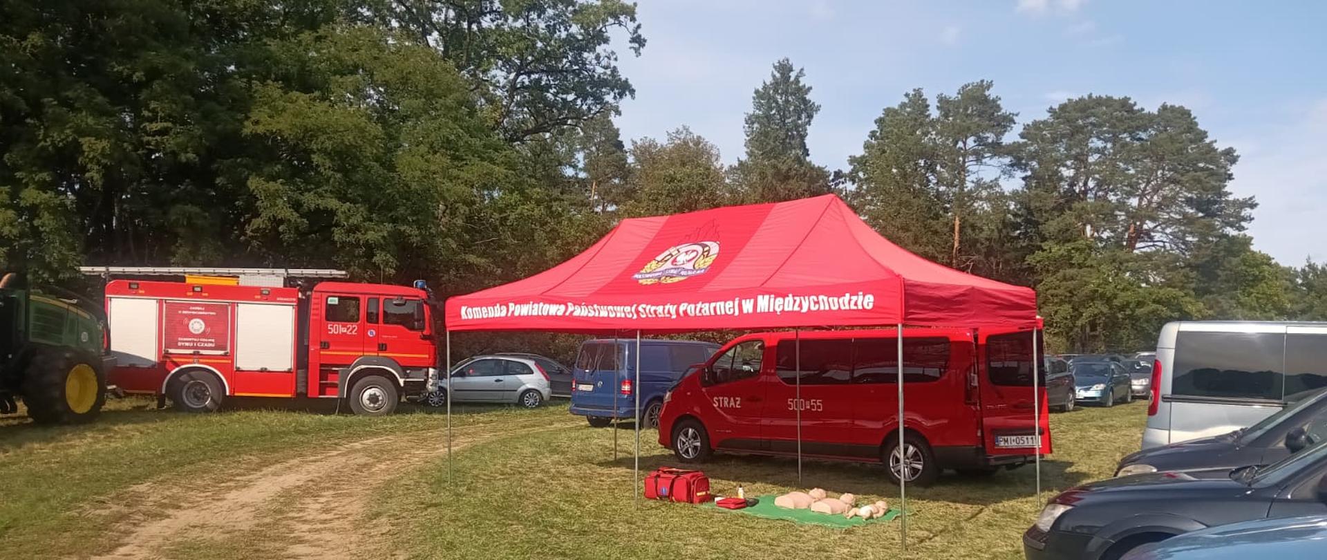 XXII Święto Podgrzybka