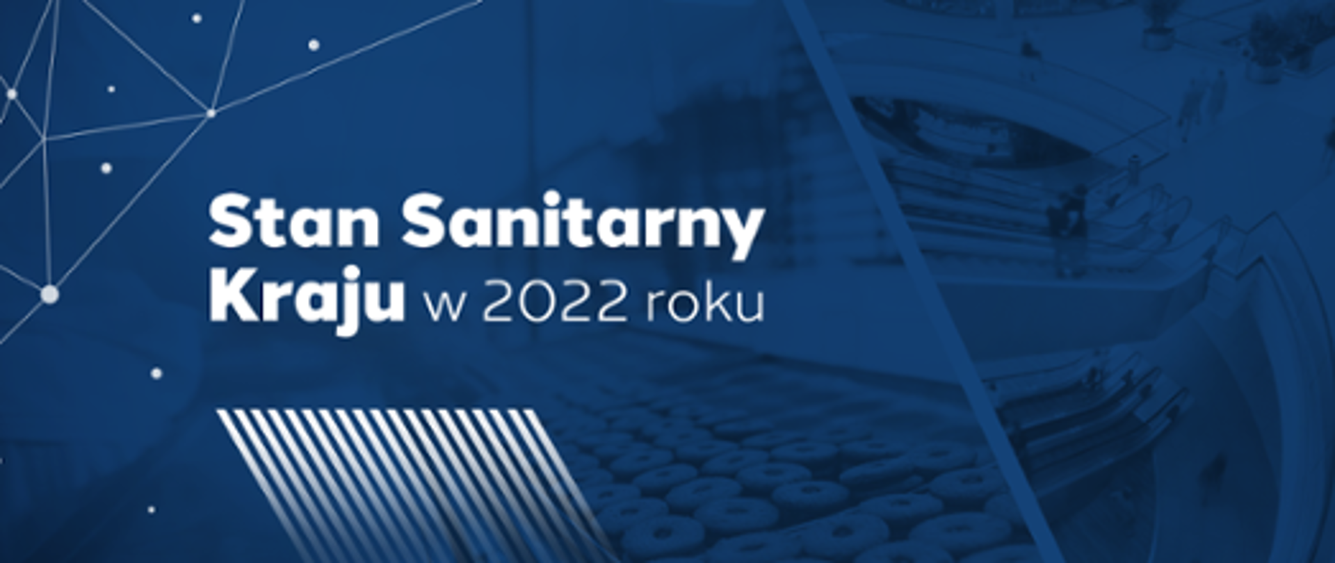 Baner, napis Stan Sanitarny Kraju w 2022 roku