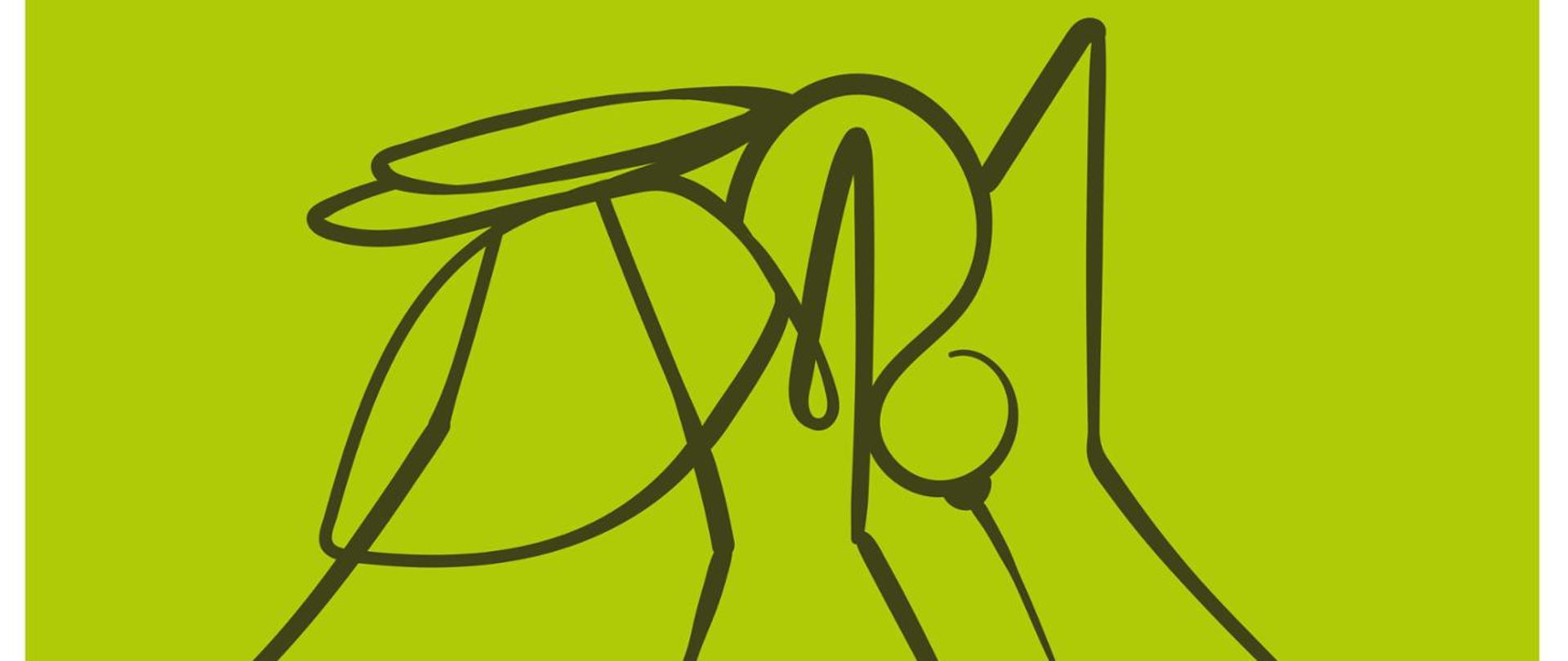 Zdjęcie przedstawia zarys graficzny komara. Tło jest koloru zielonego.