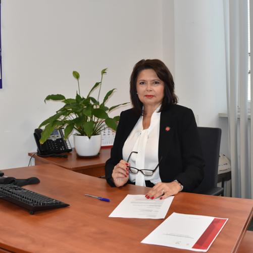 Zastępca Naczelnika Urzędu