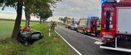Zdjęcie przedstawia miejsce wypadku, samochód osobowy znajduje się przy drzewie w rowie, a na drodze stoją ambulanse i wozy strażackie.