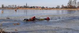 Na zdjęciu strażacy ubrani w czerwone ubrania wypornościowe przy pomocy pasa ratowniczego ćwiczą ewakuację osoby z zamarzniętego akwenu.
