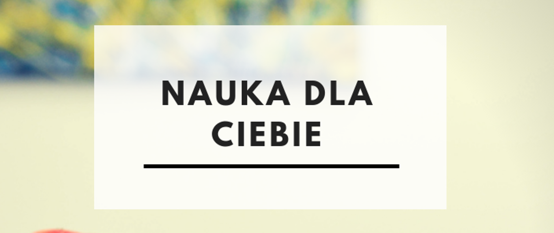 Na zdjęciu widać biurko z książkami i napis "Nauka dla Ciebie".