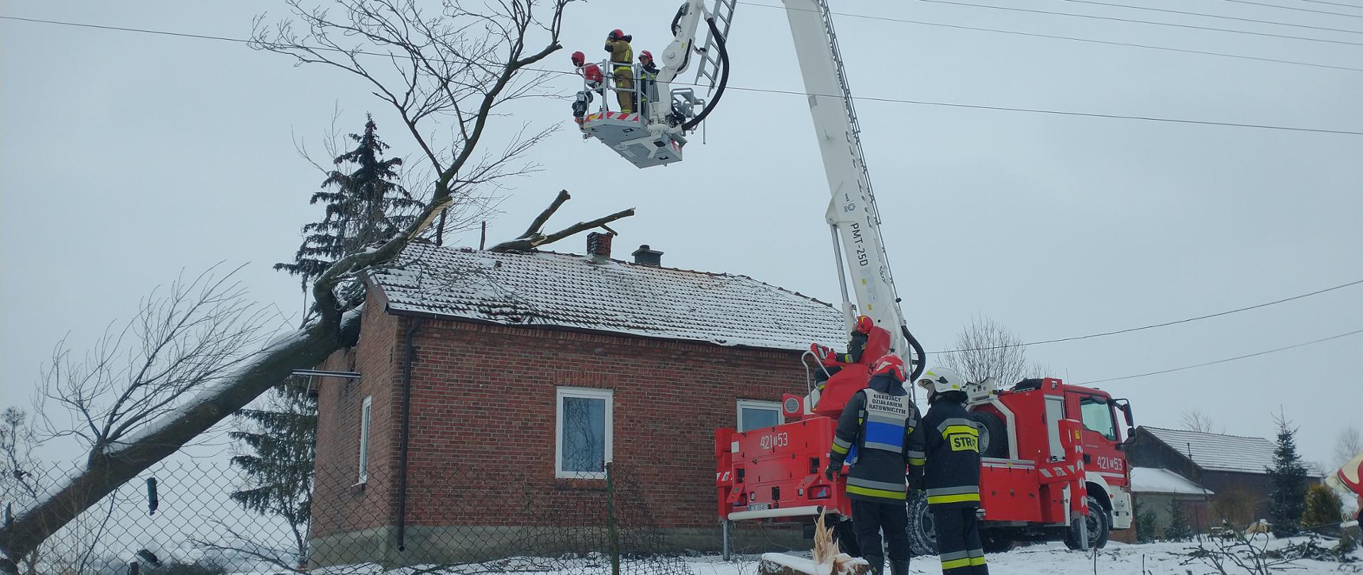 Zdjęcie przedstawia strażaków prowadzących działania z kosza podnośnika hydraulicznego, polegające na którzy usuwaniu konarów drzewa.