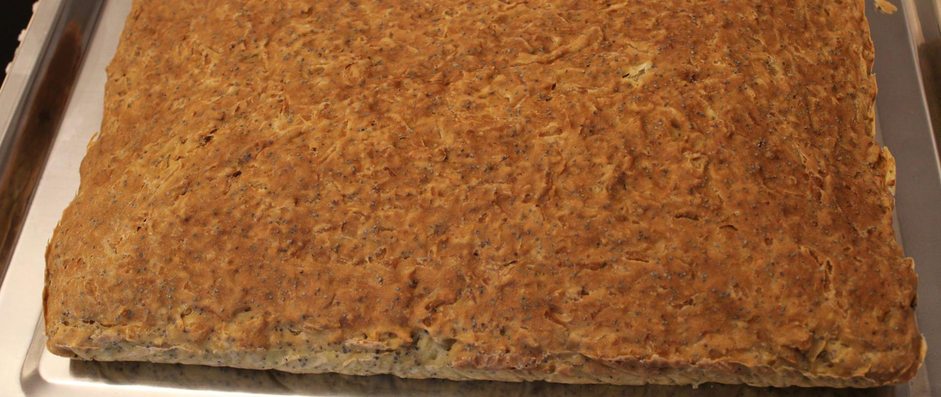 Prześniak buraczany Ciechański- buraczarz