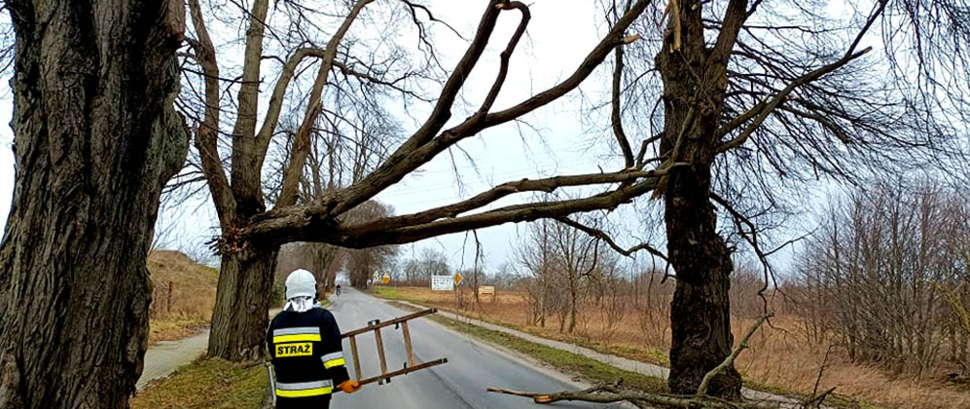 Zdjęcie przedstawia szkody wyrządzone przez silne wiatry. Połamane drzewo i strażak.