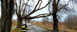 Zdjęcie przedstawia szkody wyrządzone przez silne wiatry. Połamane drzewo i strażak.