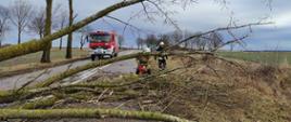 Powiat sokólski - usuwanie skutków silnych wiatrów