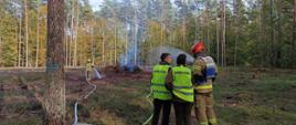 las, służby leśne ,dowódca akcji, w oddali strażak gasi pożar