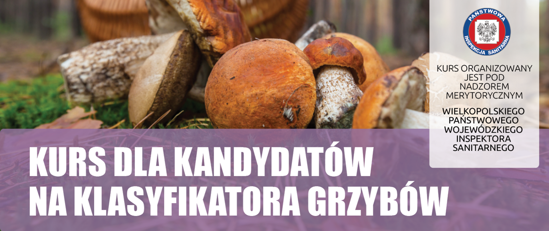Kurs dla kandydatów