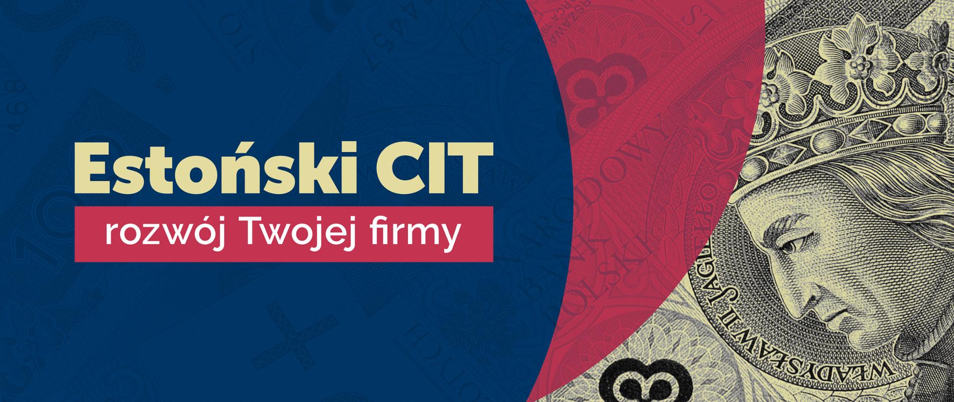 Estoński CIT - zmiany po konsultacjach z biznesem - Fragment banknotu oraz napis Estoński CIT, rozwój Twojej firmy.
