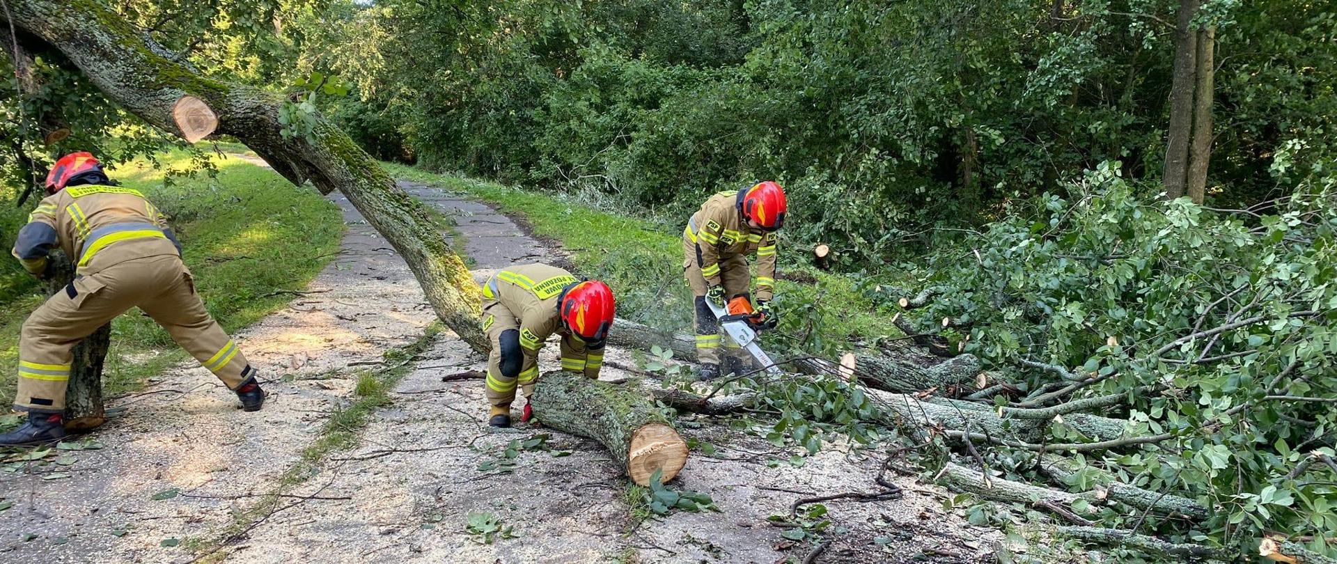 Trzech strażaków w czerwonych hełmach wycinają leżący konar i sprzątają drogę. W tle zielone drzewa i pobocze drogi.