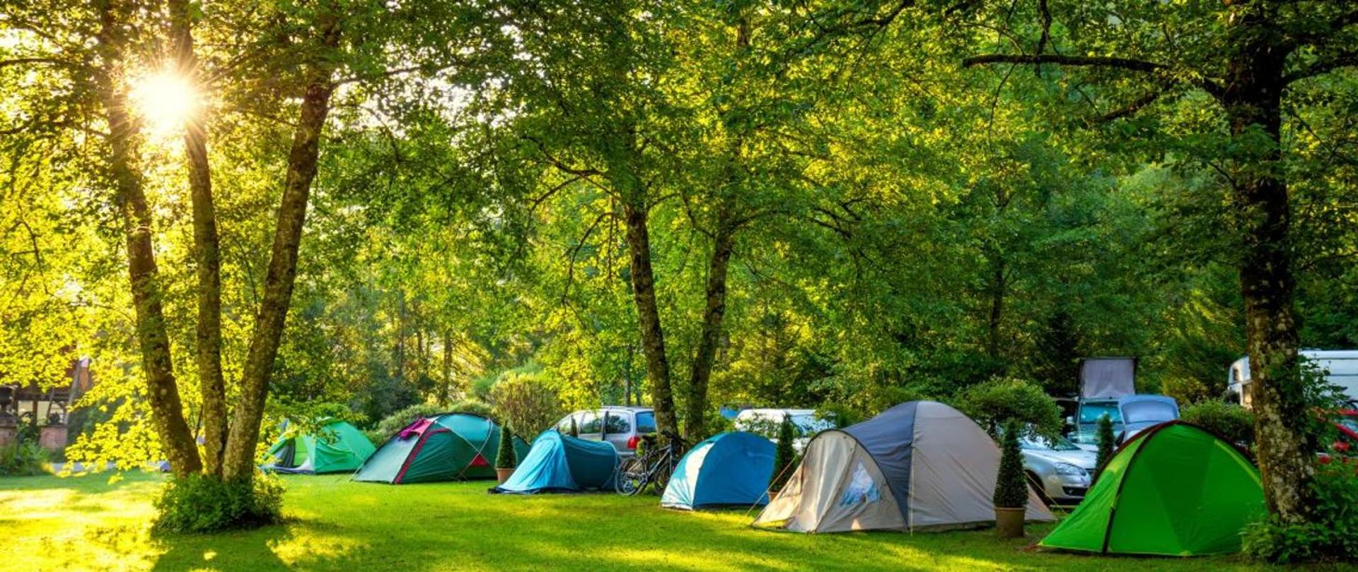 Obóz namiotowy umieszczony w lesie lub parku