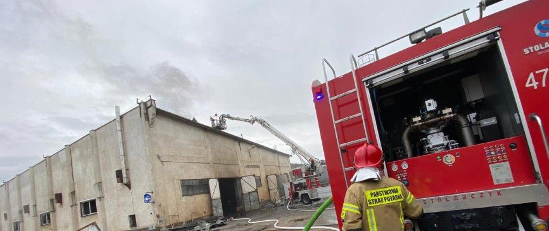 Strażacy Państwowej Straży Pożarnej prowadzący działania gaśnicze w hali produkcyjnej przy ul. Słupskiej w Lęborku. Na pierwszym planie strażak przy ciężkim samochodzie ratowniczo - gaśniczym z rozwiniętą linią gaśniczą. W tle widoczni strażacy gaszący pożar z samochodu specjalnego podnośnika hydraulicznego.