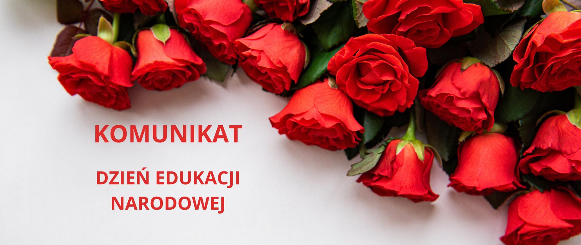 na białym tle u góry zdjęcia bukiet czerwonych róż poniżej napis komunikat dzień edukacji narodowej