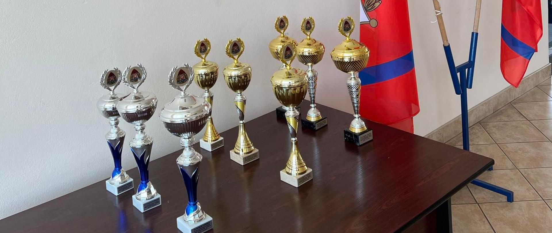 Puchary dla zwycięzców każdej kategorii wiekowej