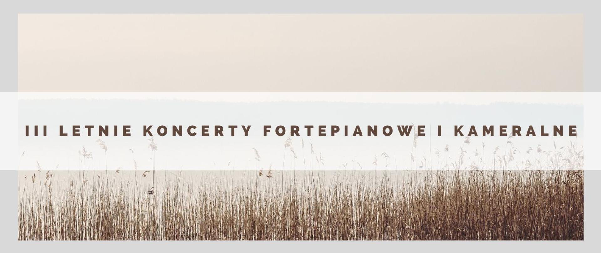 panorama, obraz trzcinowiska nad jeziorem , brązowymi literami nazwa wydarzenia III Letnie Koncerty Fortepianowe i Kameralne