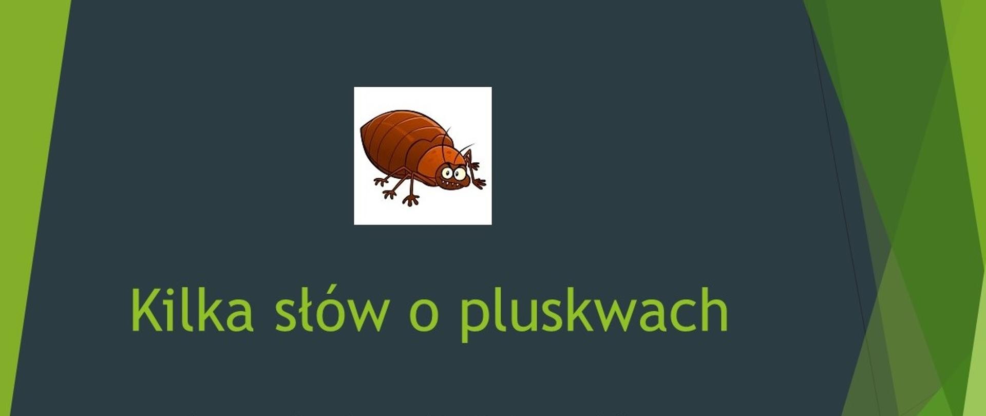 Pluskwy