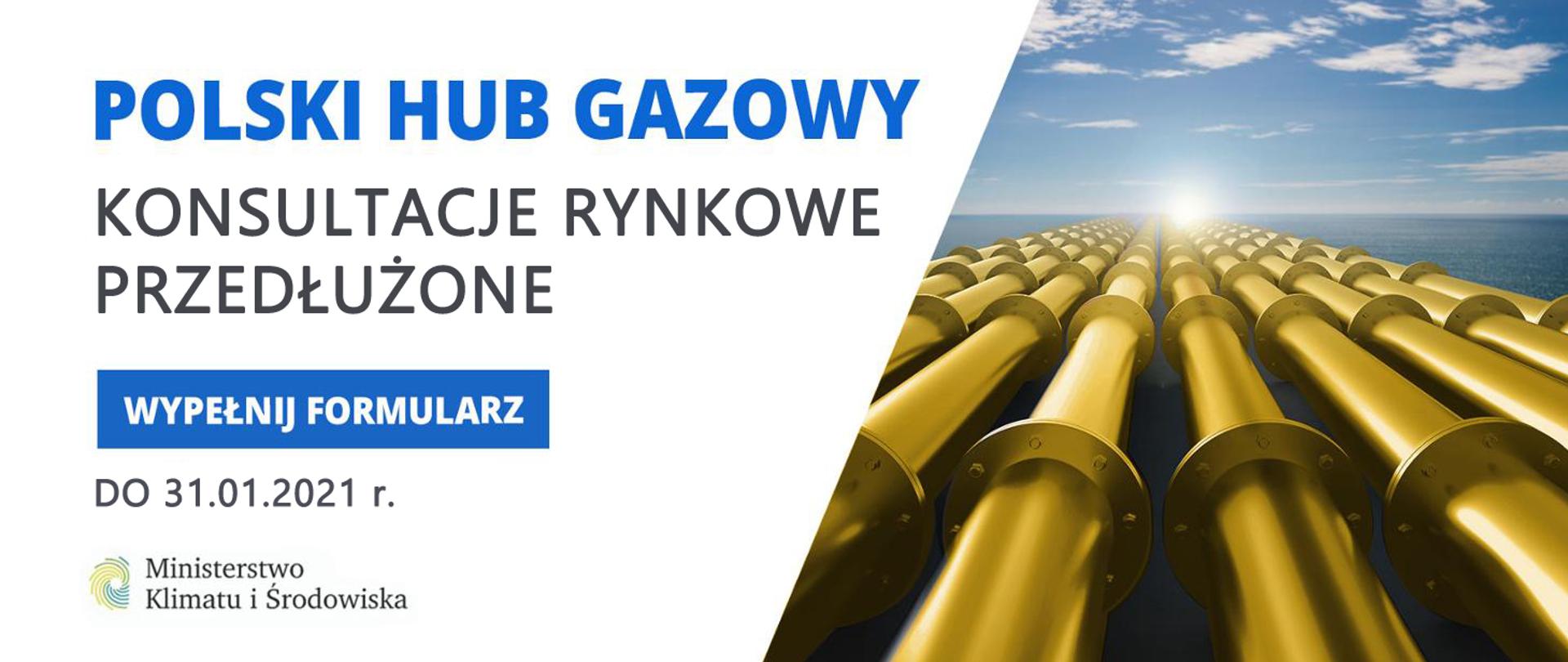 Polski hub gazowy, konsultacje rynkowe przedłużone