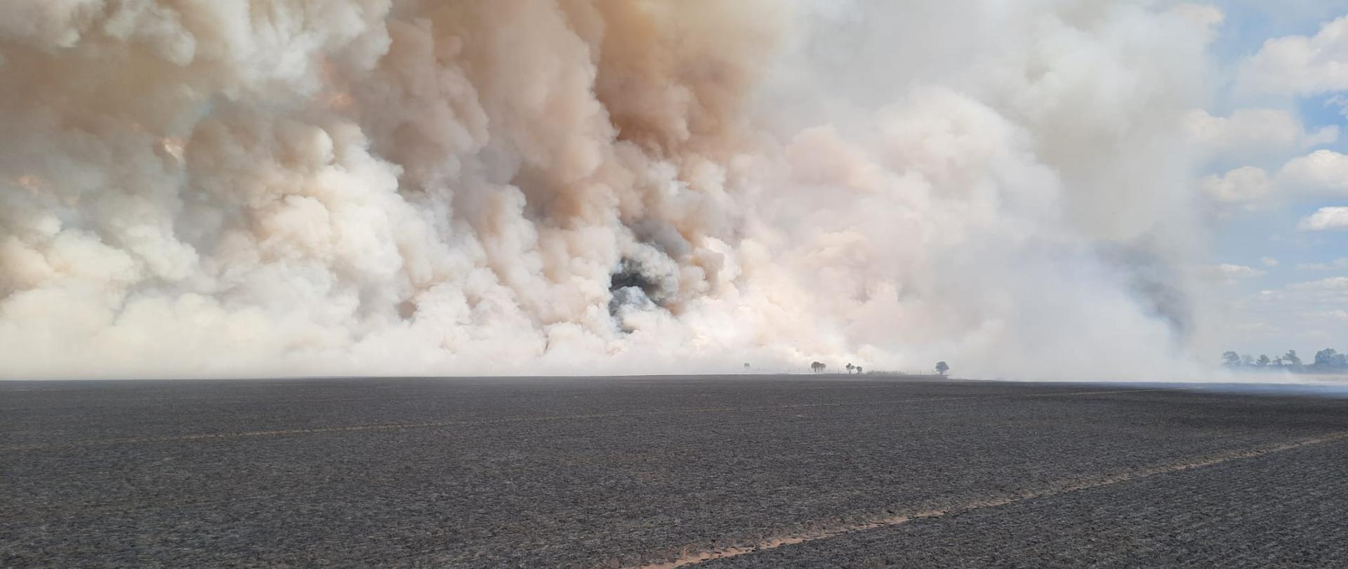 Widać spalone ściernisko i gęsty biały dym
